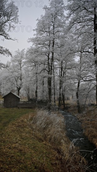 A small hut stands in a wintry landscape with snow-covered trees and a river, mystical, romantic,