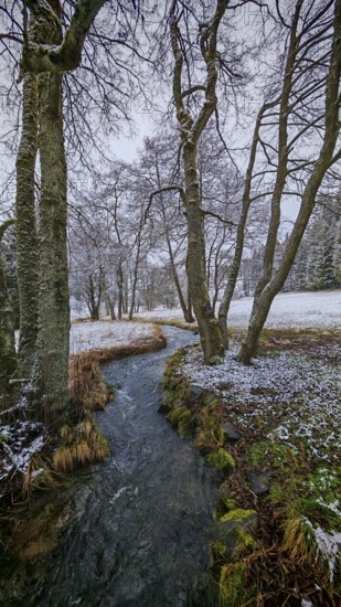 A stream snakes through a snow-covered forest landscape with bare trees, mystical, romantic,