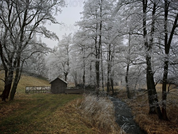 Snow-covered landscape with a small wooden house, trees and a stream bed in quiet surroundings