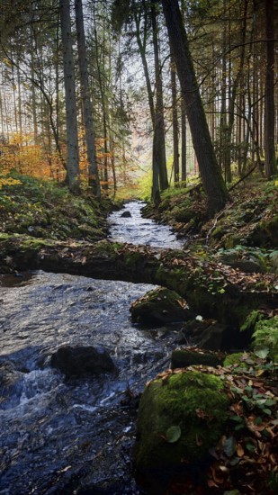Quiet stream, surrounded by idyllic autumnal forest and trees, romantic atmosphere, Frankenwald