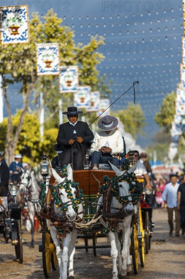 Seville, Spain, Europe. Men in traditional equestrian clothes driving a horse drawn carriage during