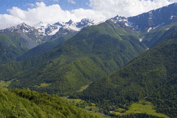 Wide green valley with snow-covered mountains in the background under clear sky, landscape near