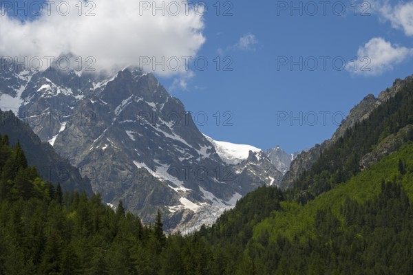 Mountain landscape with snow-capped peaks and a forest, partly covered by clouds, Chalaadi
