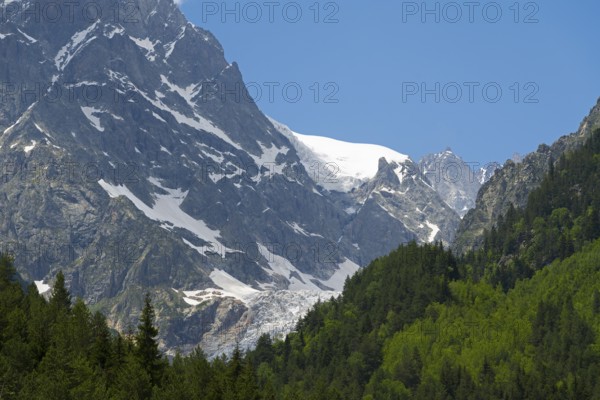 Snow-capped mountains with thick green forest under a clear blue sky, Chalaadi glaciers, Mestia,