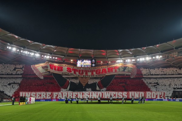 Choreo, choreography, fan action VfB Stuttgart, Cannstatter Kurve, OUR COLORS ARE WHITE AND RED