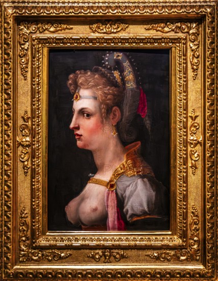 Female bust - Venus Victrix, Michele di Jacopo Tosini, Florence around 1565, Czartoryski Museum,