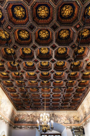 Coffered ceiling, Wawel Royal Castle, former residence and seat of government of the kings of