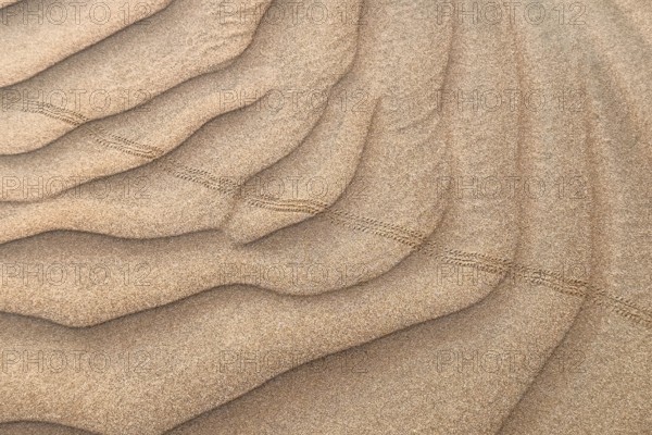 Traces in the sand, desert, Oman