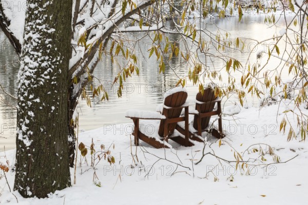 Two brown stained wooden Adirondack chairs by riverside framed by Salix - Willow tree branches
