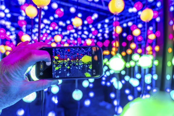 Park lights, winter event, in the Grugapark in Essen, many different light installations, across