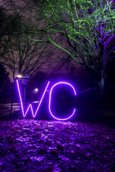 Park lights, events in winter, in the Grugapark in Essen, many different light installations,