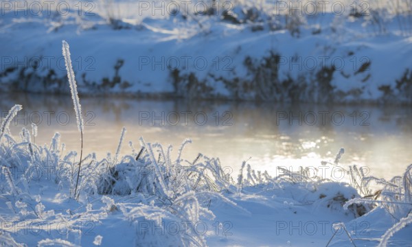 Grass covered by snow and frost, river banks in soft light, light, shimmering golden fog over the