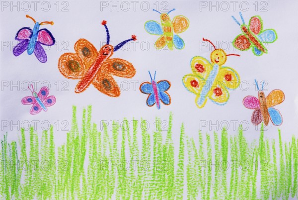 Naive illustration, child drawing, animal figure, colorful butterflies in the meadow, Austria