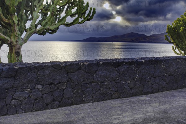 Cactus in front of a stone wall with a view of the dark sea and a cloudy sky in the background,