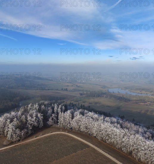Aerial view of a coniferous forest on a hillside with spruce trees colored white from frost covered