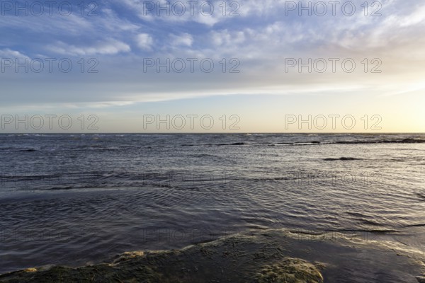 Lido Scala dei Turchi, coastline at sunset, Realmonte, Agrigento, Sicily, south coast,