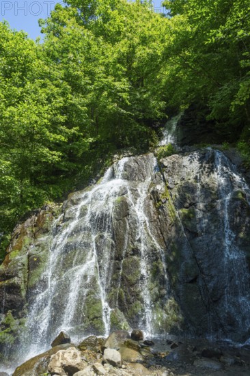 Impressive waterfall surrounded by lush forest, Delpak Waterfall, Chveletana, Mingrelia region and