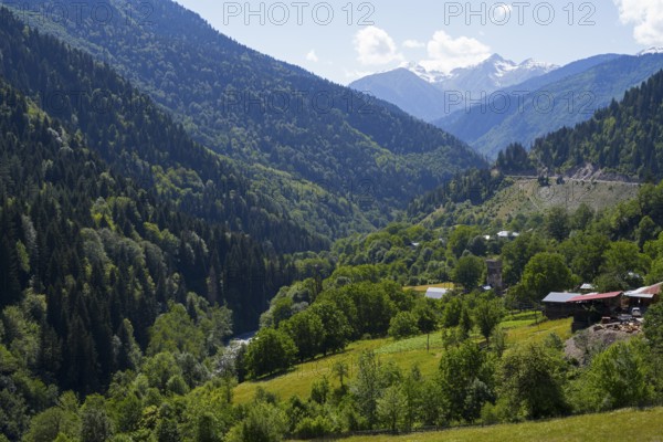 A vast landscape of green meadows and forests, surrounded by majestic mountains and clear skies,
