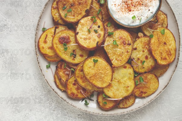 Crispy potato slices, with parmesan cheese and spices, fried in the oven, homemade, no people