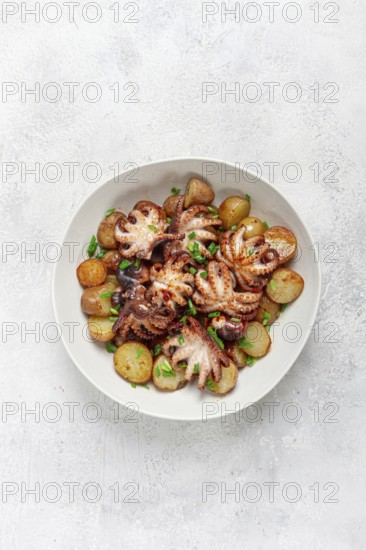Baby grilled octopus with golden baked potatoes and fresh herbs, Maltese cuisine, homemade, no