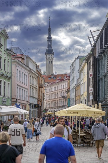17th century belfry of the town hall and tourists in shopping street of the Old Town of the capital