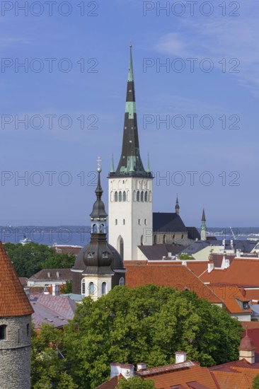 Spire of the Baptist St. Olaf's Church, Oleviste kirik in the Old Town of the city Tallinn in