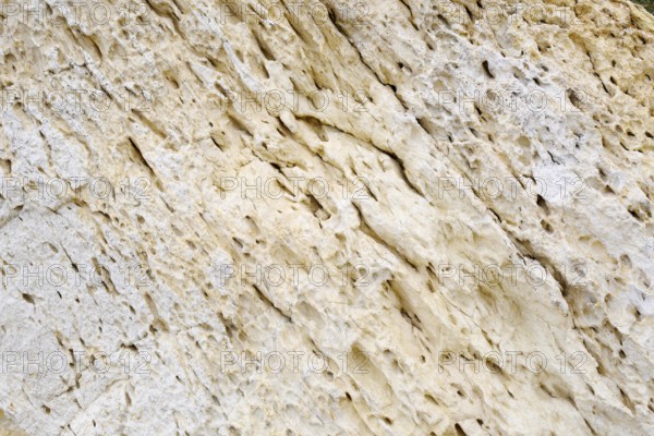 Limestone on the coast, Algarve, Portugal