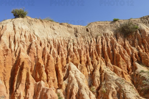 Eroded sandstone cliffs on the coast, Praia da Mesquita, Algarve, Portugal