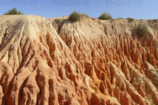 Eroded sandstone cliffs on the coast, Praia da Mesquita, Algarve, Portugal