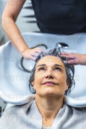 Woman with gray hair receiving a shampoo and head massage from a hairstylist at a modern hair