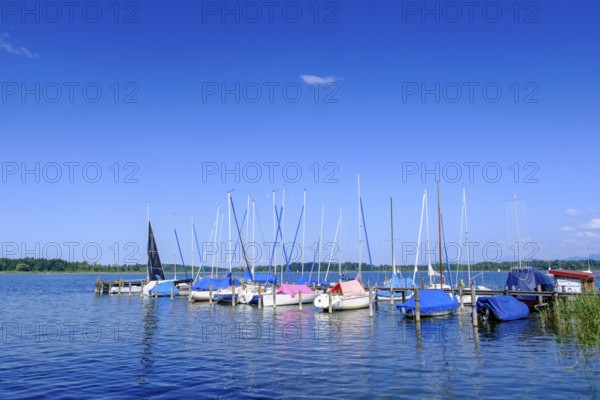 Segelclub Harras Chiemsee, Hafen am Chiemsee bei Stock, Prien, Chiemgau, Upper Bavaria, Bavaria,