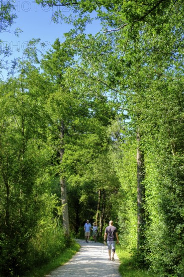 Uferweg am Chiemsee bei Stock, Prien, Chiemgau, Upper Bavaria, Bavaria, Upper Bavaria, Bavaria,