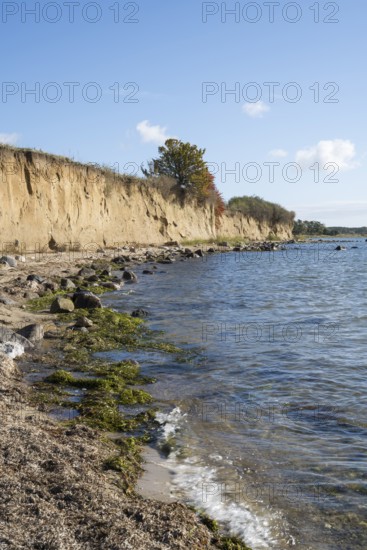 Cliffs on the shores of the Baltic Sea, autumn colors, Klein Zicker, Mönchgut, Rügen island, Baltic