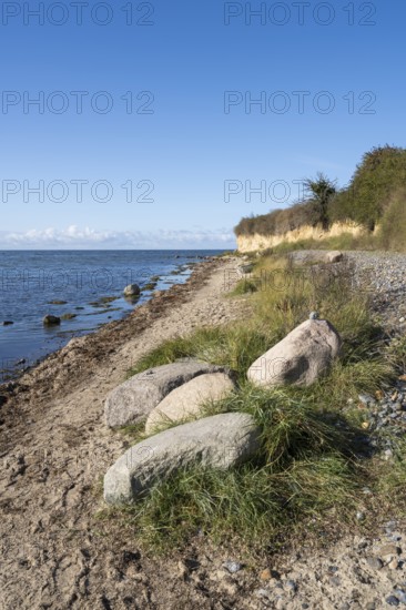 Boulders on the banks of the Saal, cliffs, Klein Zicker, Mönchgut, Rügen island, Baltic Sea,