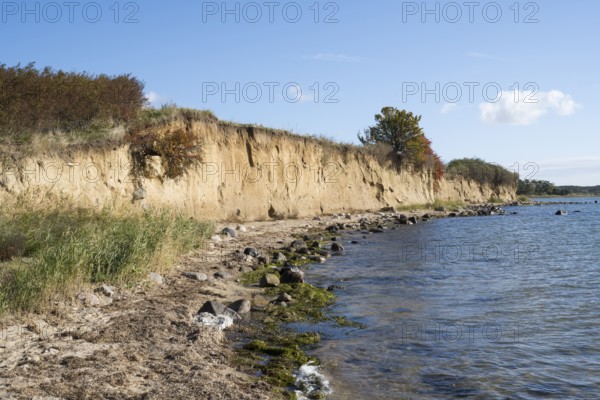 Cliffs on the shores of the Baltic Sea, autumn colors, Klein Zicker, Mönchgut, Rügen island, Baltic