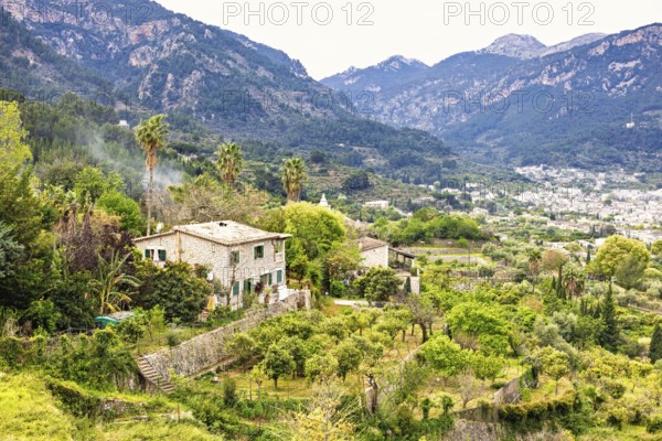 View at a country house with a fruit orchard and lush green trees in a mountain valley on Mallorca,