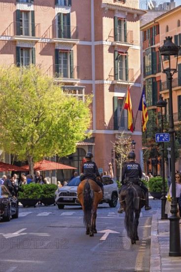 Mounted police officers on horses on a city street with people and cars, Palma de Mallorca,