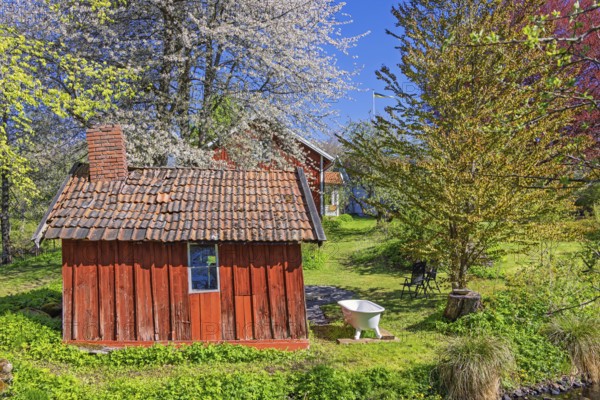 Old red wooden shed with a bathtub outside in a garden with lush green budding trees a sunny spring