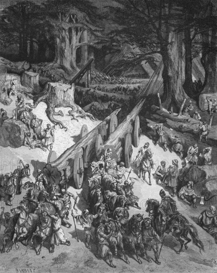 The cedars of Lebanon for building temples, First Book of Kings, chapter 5, verse 20, Bible, Old