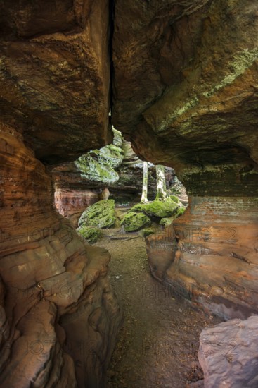 Sandstone Cliffs, Old Castle Rock, near Eppenbrunn, Palatinate Forest, Rhineland-Palatinate,