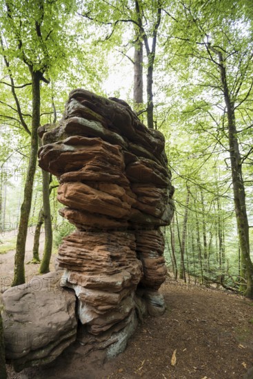 Sandstone rocks, near Hinterweidenthal, Dahner Felsenland, Palatinate Forest, Rhineland-Palatinate,