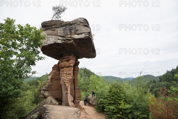 Sandstone rocks, Teufelstisch, near Hinterweidenthal, Dahner Felsenland, Palatinate Forest,