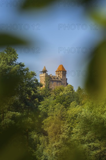 Burg Berwartstein, Erlenbach, Palatinate Forest, Rhineland-Palatinate, Germany