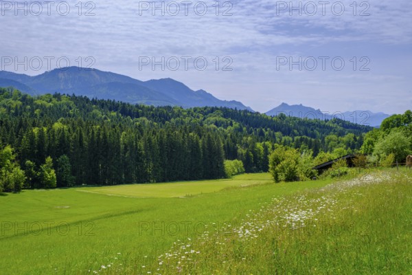 View of the Chiemgau Mountains, from Brandenberg near Wildenwart, Frasdorf, Chiemgau, Upper