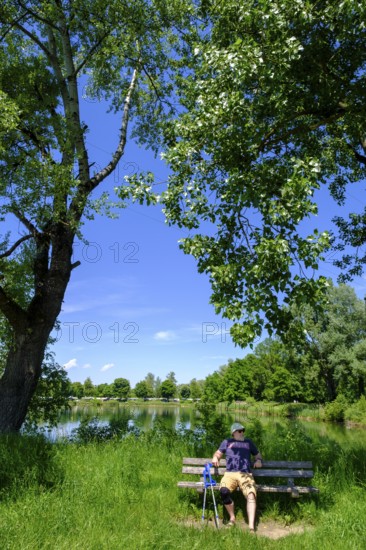 Rest Bench, Bank, Ruhebank am Erlensee, Erlensee, near Schechen, Upper Bavaria, Bavaria, Germany