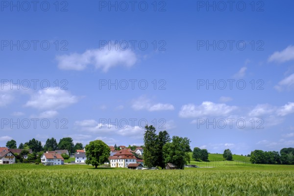 Edelbeuern, Rottal, Upper Swabia, Baden-Württemberg, Germany