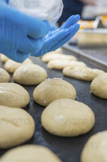 Baker hand with glove spread dough pieces on baking tray, bake rolls, Haselstaller Hof, Gechingen,