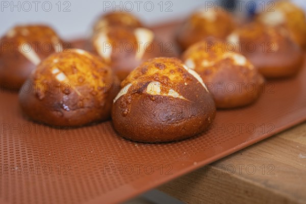 Close-up of freshly baked rolls on a baking tray, baking rolls, Haselstaller Hof, Gechingen,