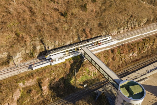 Train travels across tracks below an elevated bridge surrounded by autumn colors, test run on the