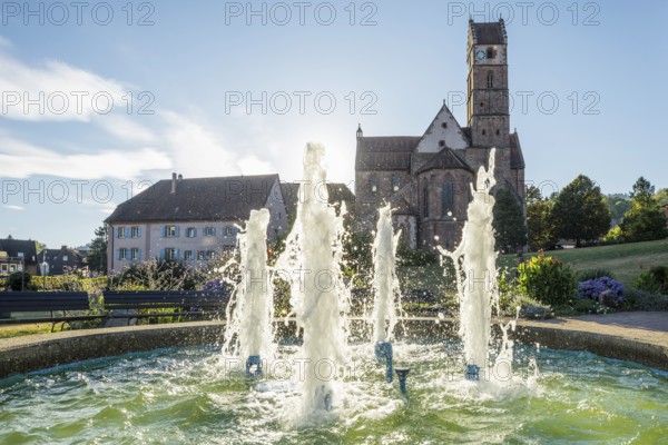 Monastery and monastery church, Alpirsbach, Northern Black Forest, Black Forest, Baden-Württemberg,